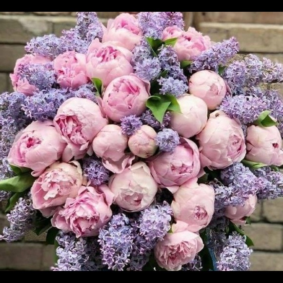 Meet your Posher, Selena - Picture 1 of 1